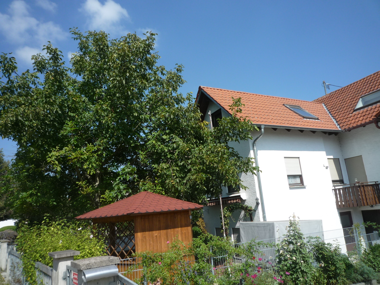 Jagode Immobilien DHH Altenstadt 1